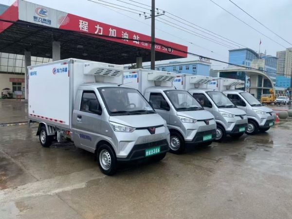 （3米）五菱全系纯电动冷藏车